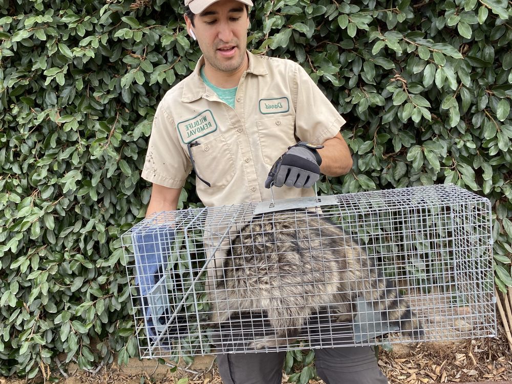 YONKERS WILDLIFE REMOVAL Updated April 2024 Request a Quote 38
