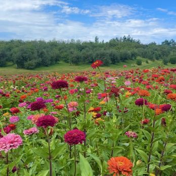 Ditmars Orchard & Vineyard - Farms Near Me - Council Bluffs, Iowa
