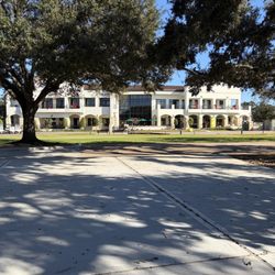 The Bluebonnet Grille