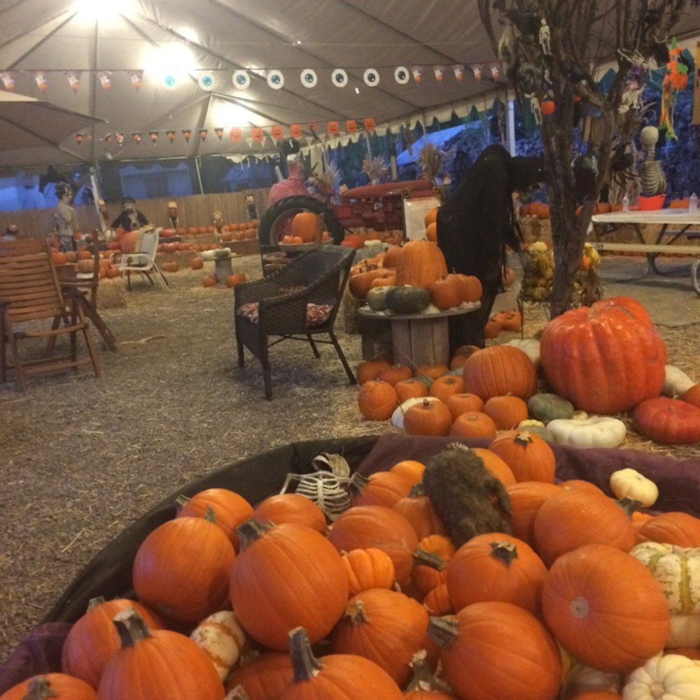 Waynes World of Trees & Pumpkin Patch - Venues & Event Spaces Near Me - Encinitas, California Waynes World of Trees & Pumpkin Patch - Venues & Event Spaces Near Me - Encinitas, California