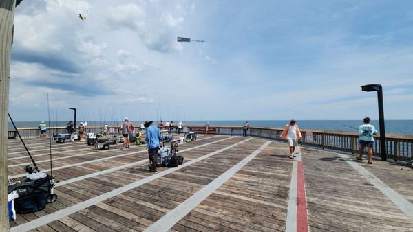 Gulf State Park Pier by null