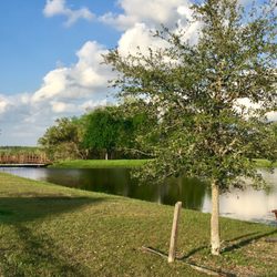 Camp Lone Star - Bridge to path encircling other side of lake