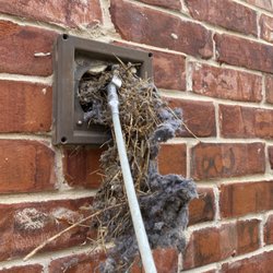 Dryer Vent Cleaning - We have found nests 4-5 feet long!  These require special equipment, which we always have in our vans.