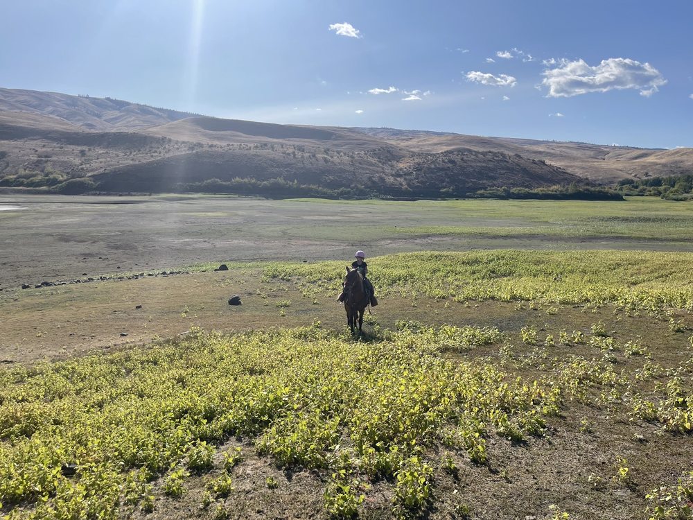 ELK RUN RANCH - Updated January 2026 - 1101 Elk Ridge Ln, Selah ...