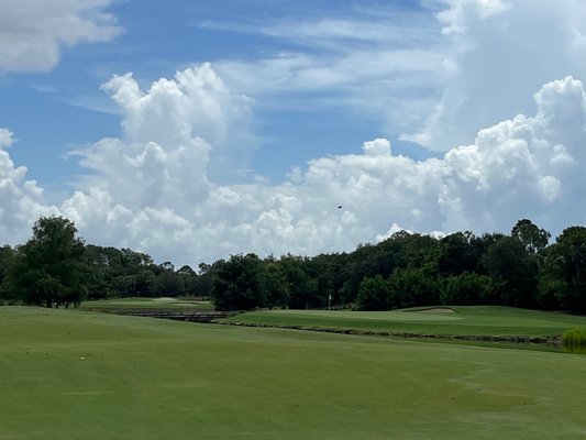 Tiburón Golf Club by null