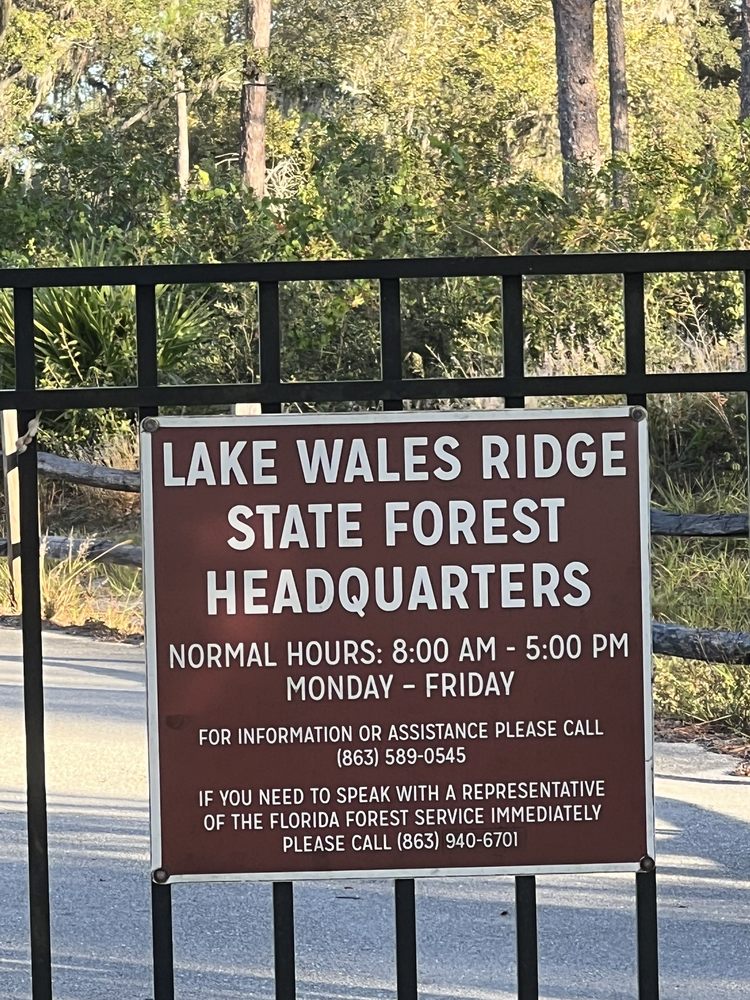 Lake Wales Ridge State Forest Image
