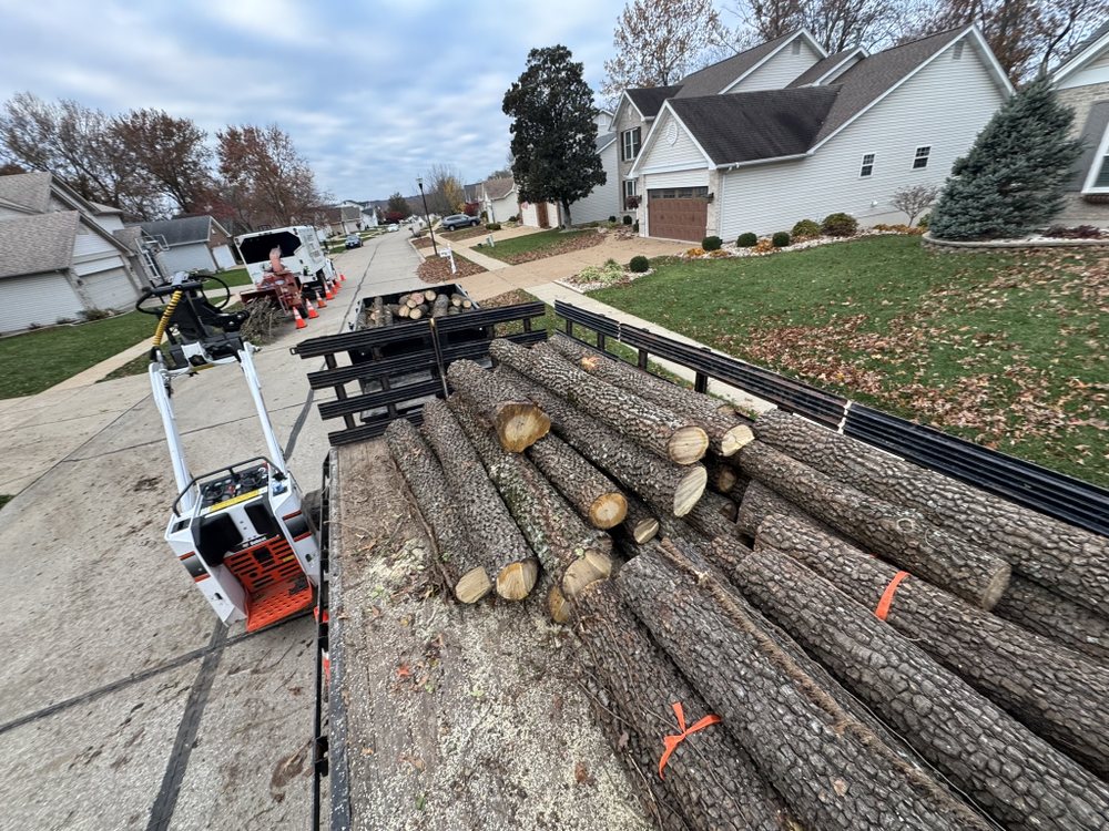 Midwest Tree Surgeons - tree service in Saint Louis, MO