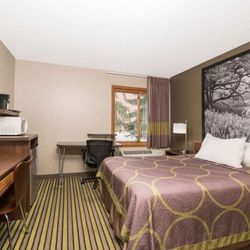 Super 8 by Wyndham St. Cloud - Guest room