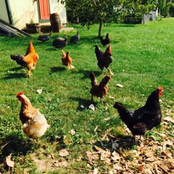 Stone Garden Farm & Village
