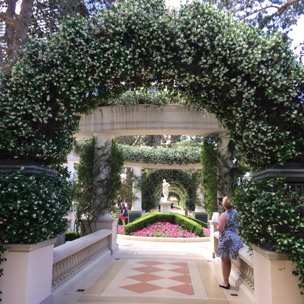 Bellagio Pool - Swimming Pools Near Me - Las Vegas, Nevada Bellagio Pool - Swimming Pools Near Me - Las Vegas, Nevada