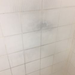 East Shore Branch YMCA - Mildew growing on the wall in steam room