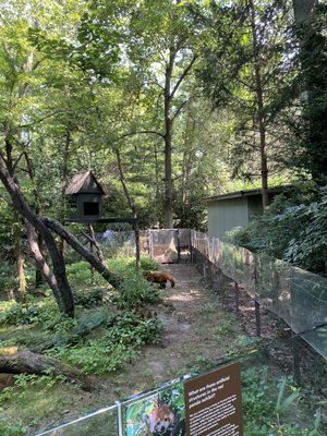 Prospect Park Zoo by null