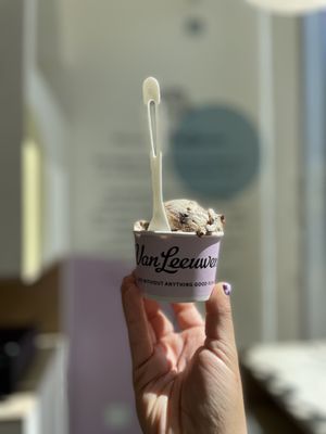 Van Leeuwen Ice Cream by null