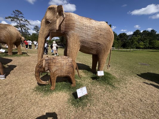 Hermann Park by null