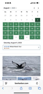 Newburyport Whale Watch by null