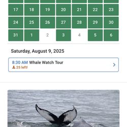 Newburyport Whale Watch - Showing that he has spaces but if you purchase Groupon, the owner won't accept them.