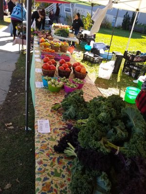 Riverwest Farmers Market by null