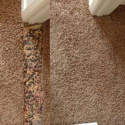 MIRACLE SERVICES - Pet damage carpet repair before we clean in El Cajon