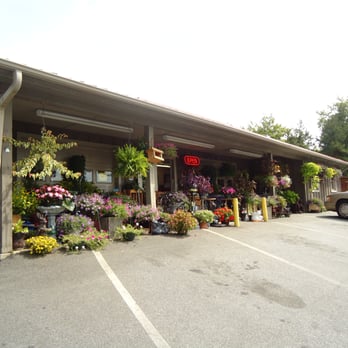 TJ's Mountain Market - for flowers and plants lovers... - Shopping Near Me - Mars Hill, North Carolina TJ's Mountain Market - for flowers and plants lovers... - Shopping Near Me - Mars Hill, North Carolina