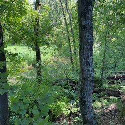 Iverson Park