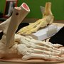 Photo of Foot Solutions Austin