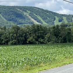 Catamount Ski Area - Catamount in the summertime