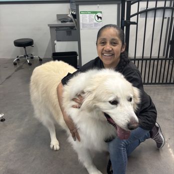 Pet Supplies Plus Prosper-Windsong - Adalia and my dog Bones - Pet Groomers Near Me - Prosper, Texas Pet Supplies Plus Prosper-Windsong - Adalia and my dog Bones - Pet Groomers Near Me - Prosper, Texas