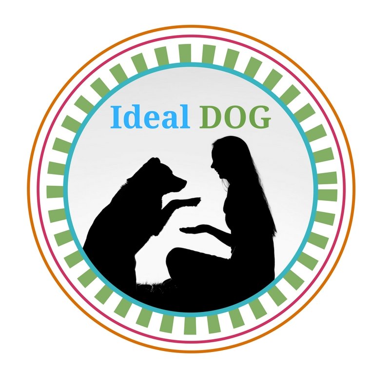 IDEAL DOG Updated September 2024 528 N Main St, Oshkosh, Wisconsin