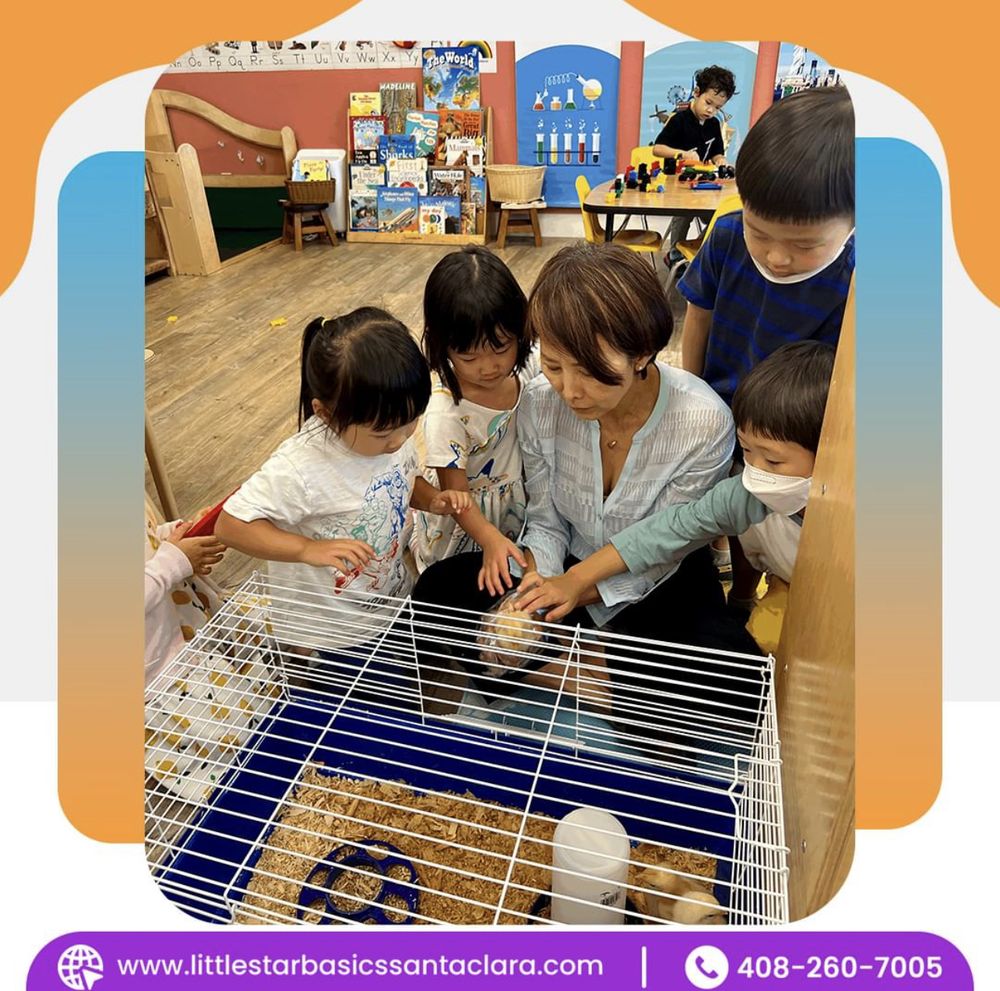 Little Star Basics Preschool & Learning Center - reading tutor in Santa Clara, CA