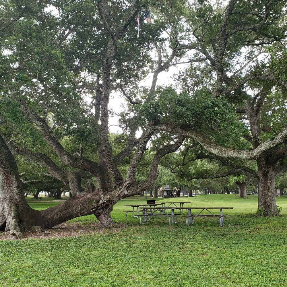 T.Y. Park - Parks Near Me - Hollywood, Florida T.Y. Park - Parks Near Me - Hollywood, Florida