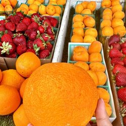 Robledo's Farm Fresh Produce