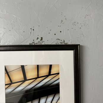 EnVision Hotel - Foxborough - Black mold on the wall - Hotels Near Me - Mansfield, Massachusetts EnVision Hotel - Foxborough - Black mold on the wall - Hotels Near Me - Mansfield, Massachusetts