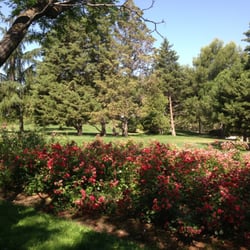 Parque Del Bronce - Florecitas!
