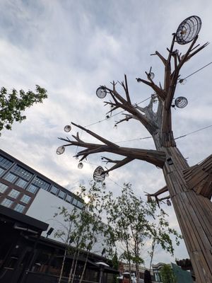 The Yard at Corktown by null