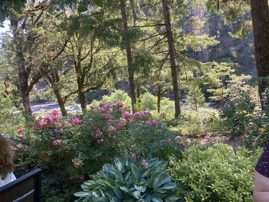 Steamboat Inn by null