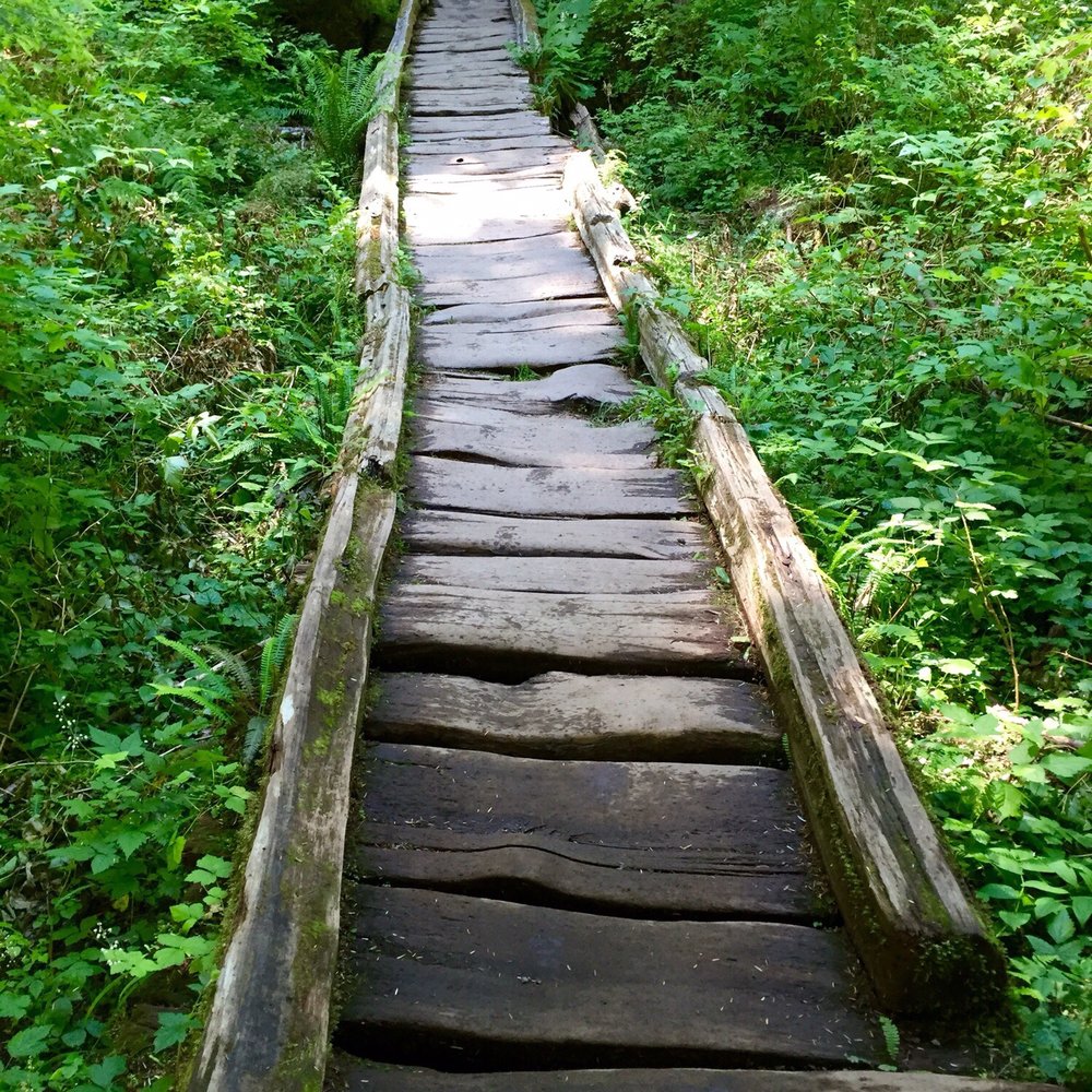 Lake 22 - Who doesn't love a crooked wooden pathway? - Hiking Near Me - Granite Falls, Washington Lake 22 - Who doesn't love a crooked wooden pathway? - Hiking Near Me - Granite Falls, Washington