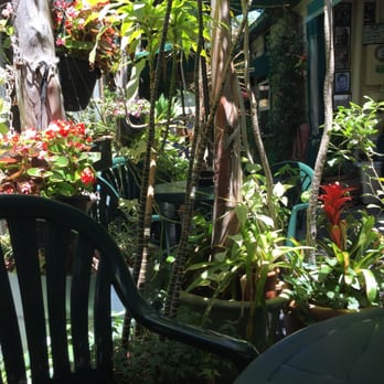 Vivian's Cafe - Patio seating! - Breakfast & Brunch Near Me - Studio City, California