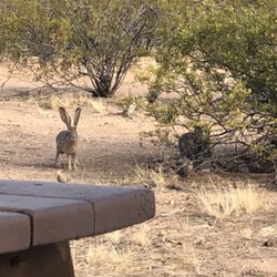 Adobe Rv Park