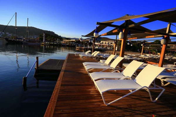 Special Class Hotel in Costa Farilya by null