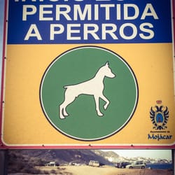 Playa Macenas - Playa permitida a perros