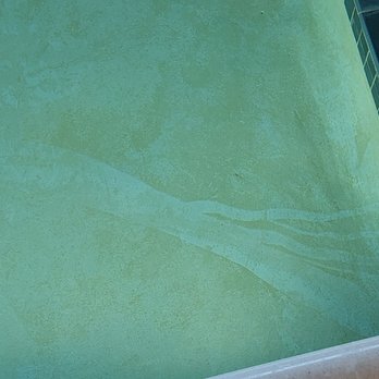 Aloft by Marriott Buffalo Airport - Just a tad bit of slime in the pool, ughhhh - Hotels Near Me - Buffalo, New York
