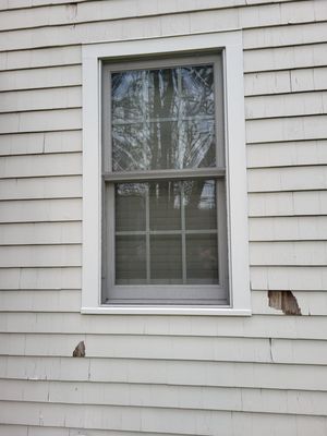 Big Dog Painting - Woburn Painters