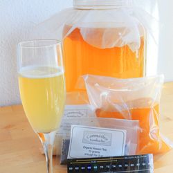 CommuniTea Kombucha - Homebrew kits and other kombucha brewing supplies are available at our brewery and farmers markets