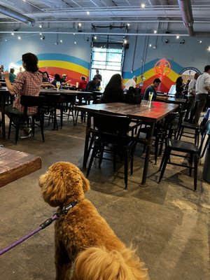 Hi-Wire Brewing Durham by null