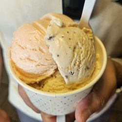Cherry Hill Ice Cream Cafe - Delicious!