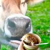 Lick Honest Ice Creams gift card