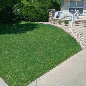Next Step Lawn - Lawn Services Near Me - Johnstown, Colorado Next Step Lawn - Lawn Services Near Me - Johnstown, Colorado