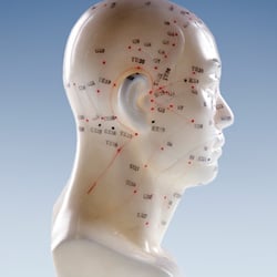 Lotus Acupuncture & Holistic Health Clinic - Acupuncture meridians of the scalp and face.