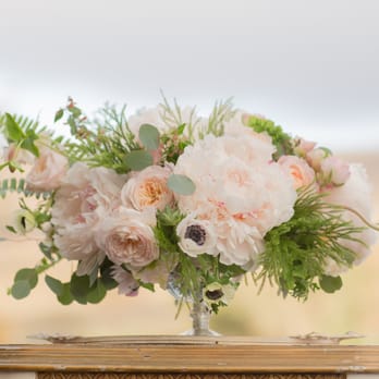 Marion Moss Floral Design - Florists Near Me Marion Moss Floral Design - Florists Near Me