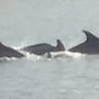Photo of Crainsail Bay Adventures